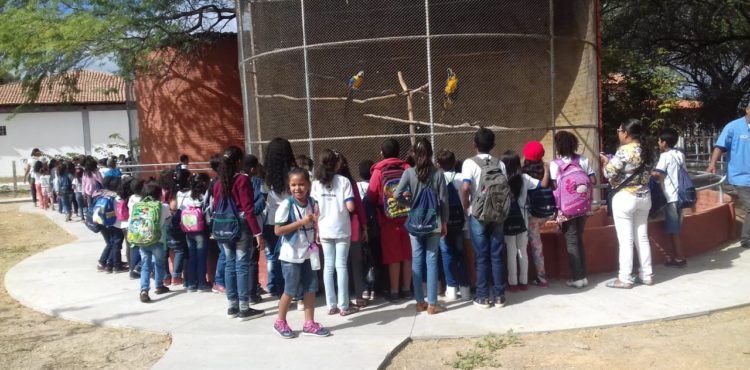 Estudantes de escola municipal visitam Parque Zoobotânico da Caatinga