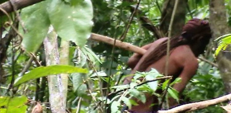 Funai divulga imagens de índio isolado na Amazônia