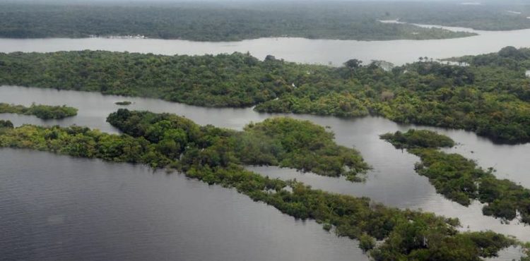 Próxima epidemia ‘já está a caminho’, alerta médico sobre desmatamento na Amazônia