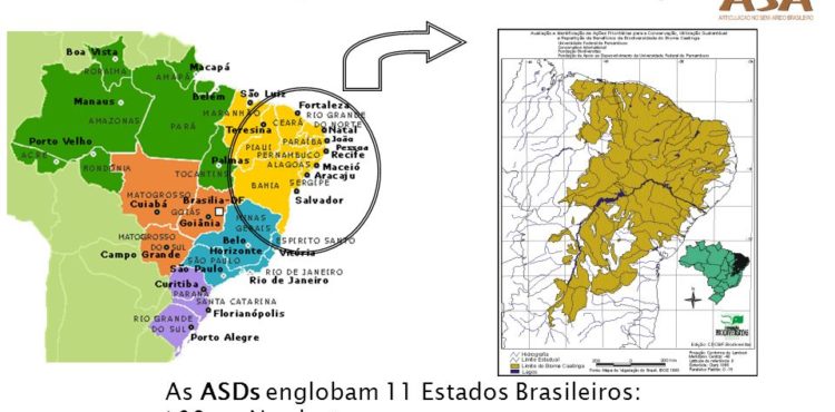 Desertificação no Brasil avança 140% em 10 anos