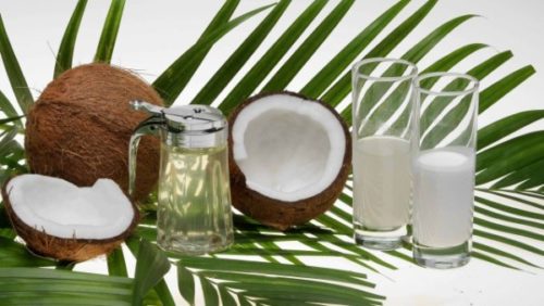 Importação de subprodutos do coco de países asiáticos ameaça produção nacional