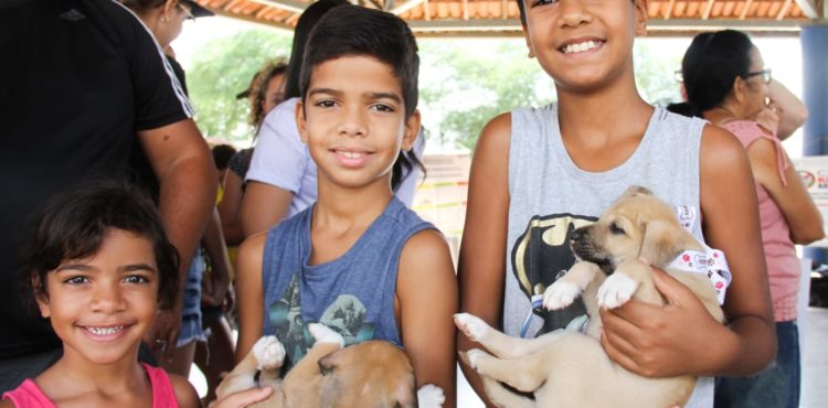 Feira de adoção de cães e gatos acontece este mês em Petrolina