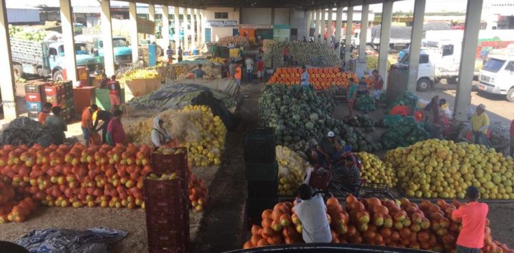 Abacate é comercializado a R$ 2,50 no Mercado do Produtor; confira preço de outras frutas e verduras