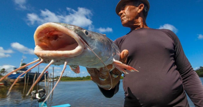 Medida Provisória autoriza pagamento de auxílio para pescadores afetados por manchas de óleo nas praias