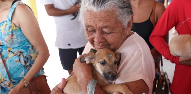 Primeira feirinha de adoção do CCZ em 2020 garante novo lar a cães e gatos em Petrolina