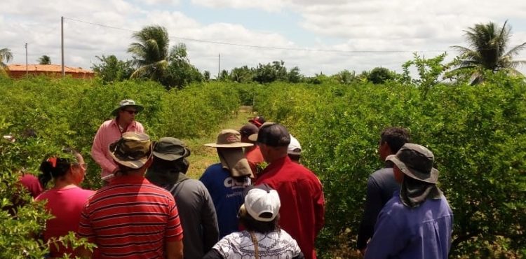 Parceria  entre IF Sertão-PE e Incra oferece análise de solos a produtores rurais de assentamentos