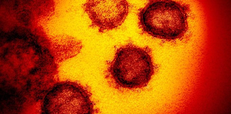Vacina contra o novo coronavírus é meta de pesquisa executada por cientistas da USP e do Incor