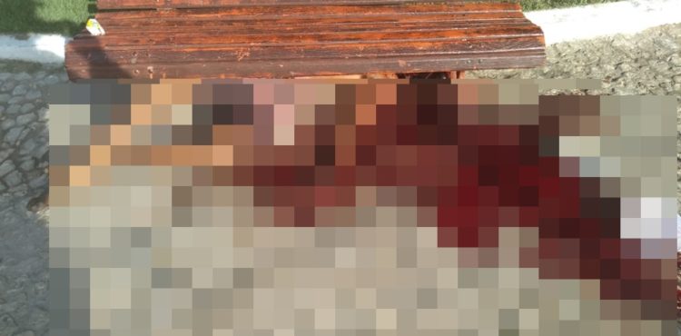 Morador de rua é assassinado na praça da Catedral de Petrolina