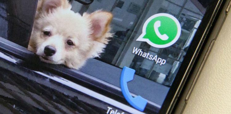 Mais de 12 mil contas no WhatsApp são clonadas diariamente no país, mostra pesquisa