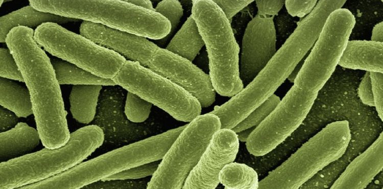 Remédio de 1.200 anos dá pistas para combater bactérias atuais