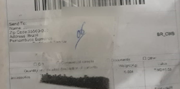 Mais dois pacotes de ‘sementes misteriosas’ são identificados em Pernambuco; total chega a quatro