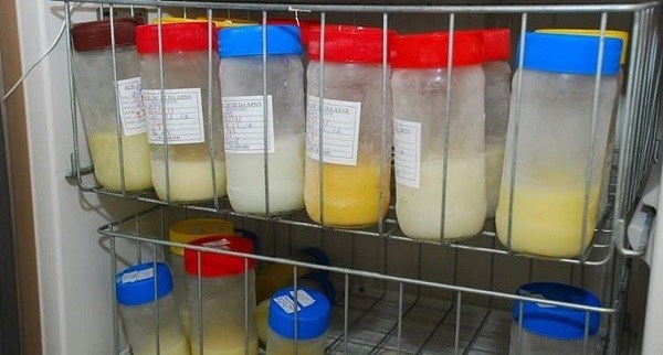 Doações de leite humano registram queda; Dom Malan/IMIP tem estoque de apenas 2,5 litros