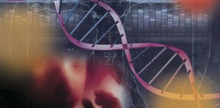 Cientistas criam embrião com células humanas e de macaco