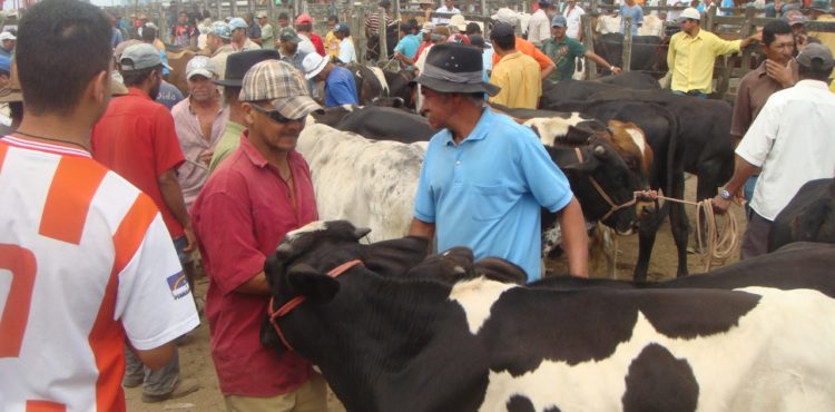 Adagro suspende feiras agropecuárias e vaquejadas em Pernambuco