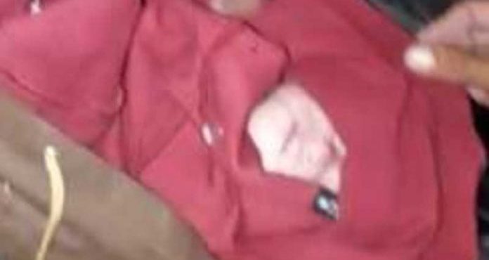 Estudante resgata bebê abandonado em mochila no mato em SP
