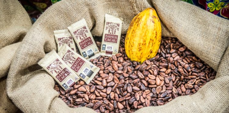 Comercialização de chocolates da agricultura familiar cresce no mercado