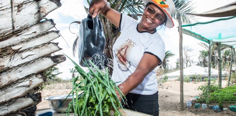 Seguro Garantia-Safra é pago a cerca de 215 mil agricultores que aderiram ao programa Seguro Garantia-Safra é pago a cerca de 215 mil agricultores que aderiram ao programa