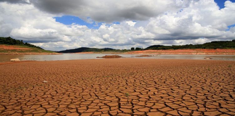 Após a Covid-19, seca tem potencial para ser nova “pandemia”, alerta a ONU