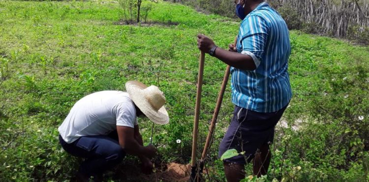 Agricultores familiares de comunidades rurais de Paulo Afonso passam a contar com viveiro de mudas