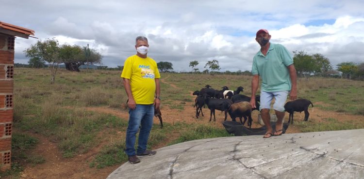 Comunidade do Semiárido vem se desenvolvendo com o fortalecimento da Ovinocaprinocultura