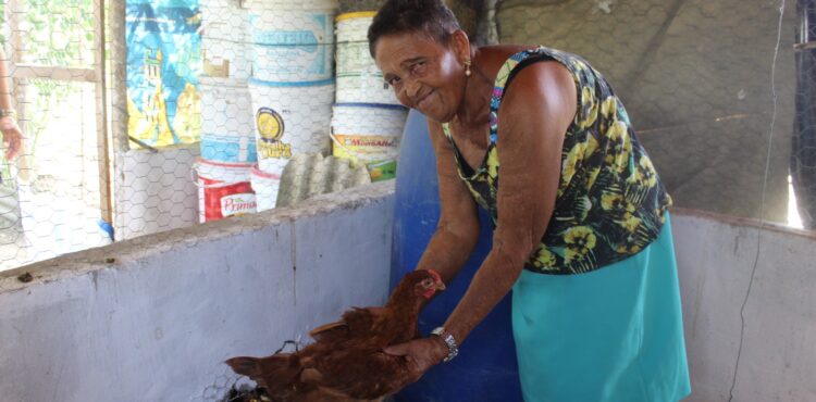 Criação de galinhas caipiras impulsiona segurança alimentar e geração de renda em comunidade quilombola de Irará