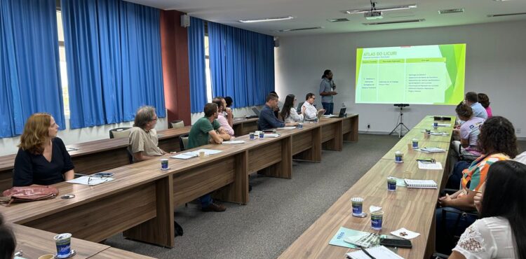 Novos rumos para o sistema produtivo do licuri são debatidos em reunião na capital baiana