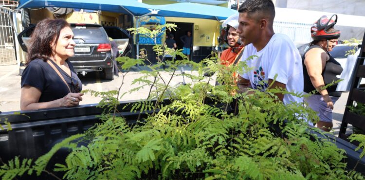 Carro da Planta vai levar mudas para o bairro Vila Eduardo nessa sexta-feira