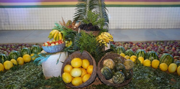 Petrolina sedia 1º Encontro Estadual de Gestão do Sistema Nacional de Segurança Alimentar e Nutricional