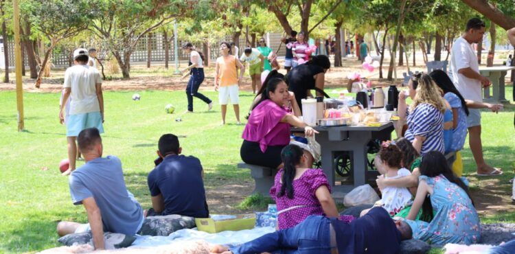 Área para piquenique no Parque Josepha Coelho encanta visitantes e é opção de lazer para as famílias