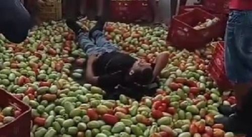 ASSISTA: Homem é atingido por caixotes de tomate e fica imóvel no Mercado do Produtor em Juazeiro