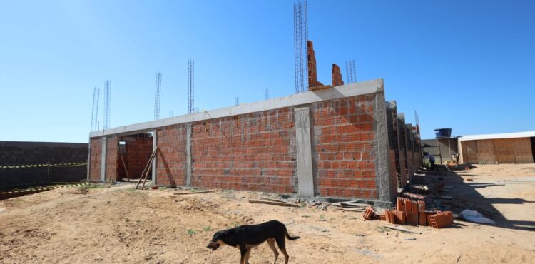 Petrolina: Com previsão de entrega para o primeiro semestre, canil/gatil municipal está com obras avançadas