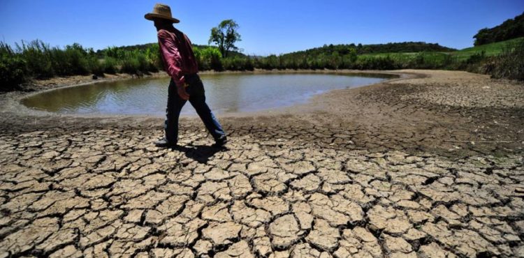 Seca faz Nordeste perder um Pernambuco de área agrícola