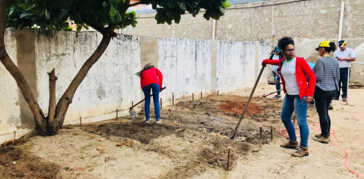 Horta em posto de saúde de Petrolina incentiva e orienta uso de plantas e ervas medicinais