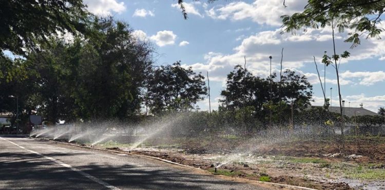 Academia tem que desocupar parque municipal de Petrolina em até 30 dias