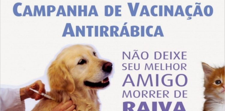 Prefeitura segue com vacinação em cães e gatos nos bairros de Petrolina