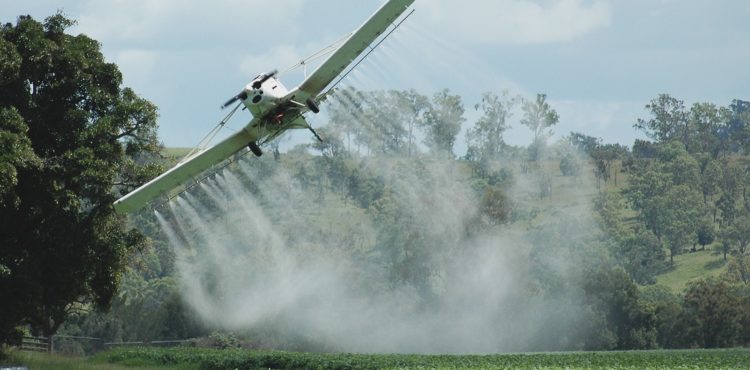 Vendas externas do agronegócio somam US$ 96,8 bilhões em 2019