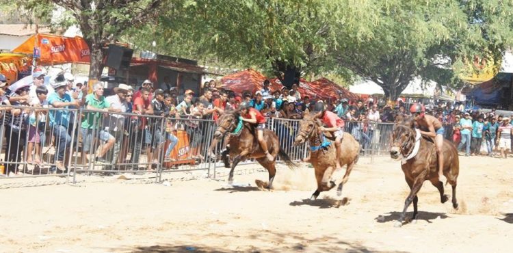 Do forró à corrida de jegues: Jecana do Capim’ vai distribuir R$ 30 mil em prêmios