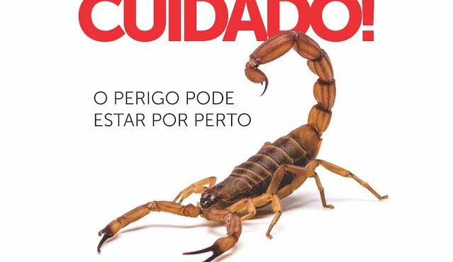 Pernambuco registra 6.776 ataques de animais peçonhentos nesse 1º quadrimestre