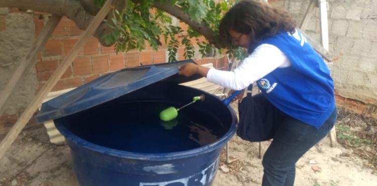 Agentes de endemias passam a atuar com aplicativo de monitoramento em Petrolina