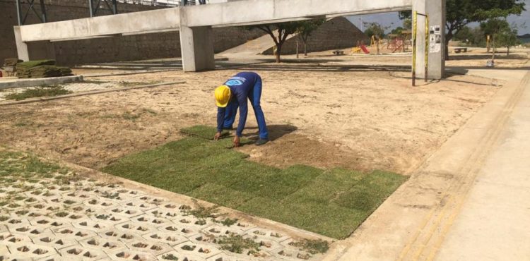 Parque Fluvial de Juazeiro começa a receber intervenções de paisagismo