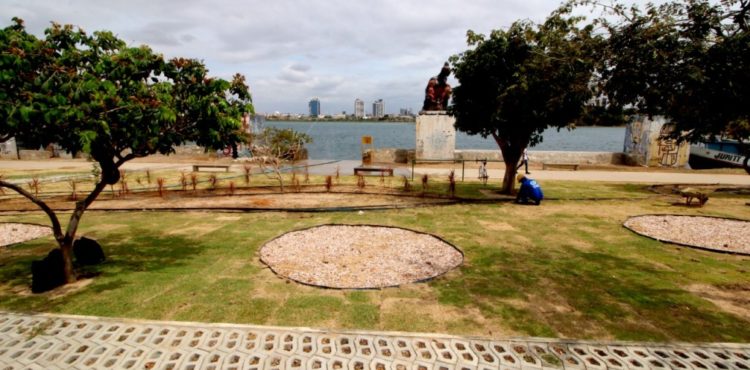 Atividade educativa do Parque Fluvial vai promover plantio de mudas nativas em Juazeiro