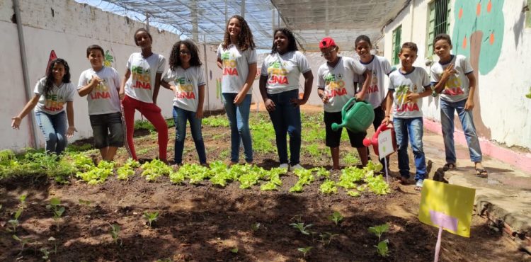 Merenda Saudável: ações de projeto premiado em concurso nacional são implantadas em Petrolina