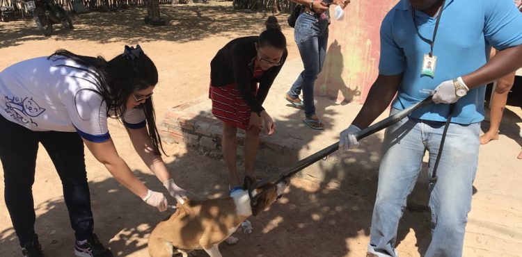 CCZ de Petrolina apresenta balanço positivo das ações de 2019 e destaca trabalho educativo