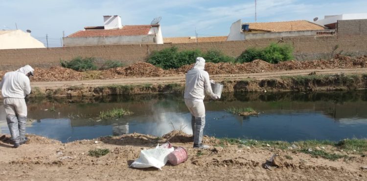 Equipe da secretaria de saúde aplica cal em canal para coibir multiplicação de mosquitos