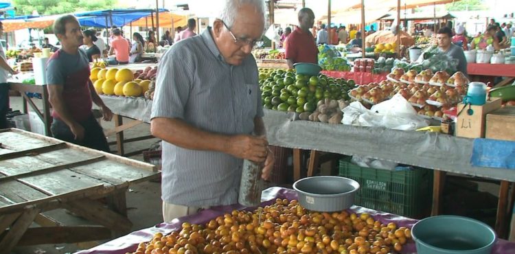 Consumidores vão às feiras livres de Petrolina a procura de umbu e de seriguela