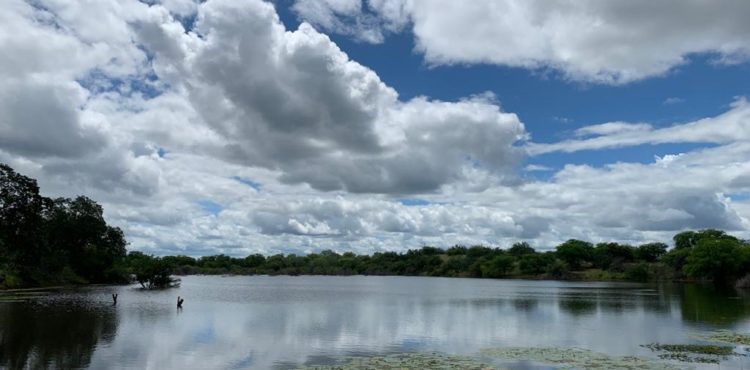 Comunidades da zona rural comemoram transbordo de barragens devido às chuvas em Petrolina