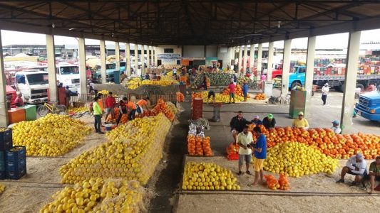 Mercado do Produtor de Juazeiro divulga cotação desta quinta-feira