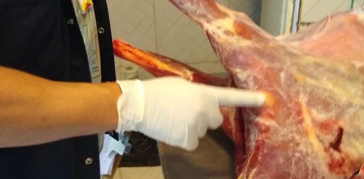 Vigilância Sanitária apreende cerca de 100 kg de carne clandestina em Juazeiro