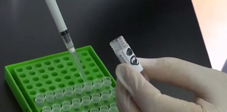 Teste em humanos de vacina contra coronavírus tem resultados positivos preliminares, diz empresa