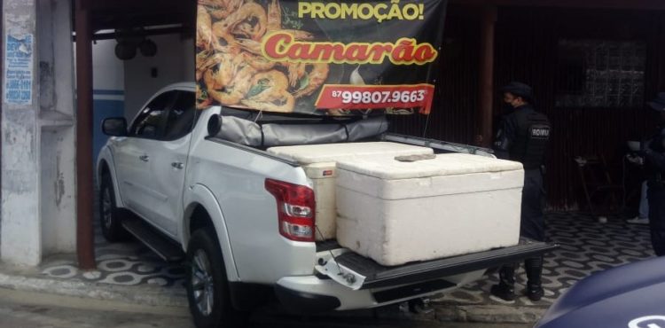 Comerciante irregular de camarão tem mercadoria apreendida por Guarda Civil de  Petrolina